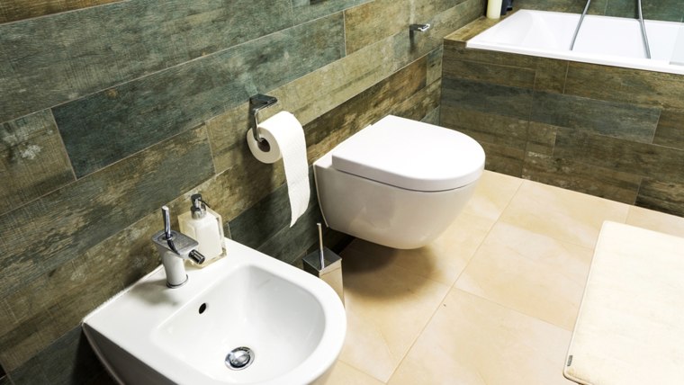 Reasons to Consider Buying a Bidet for Your Bathroom