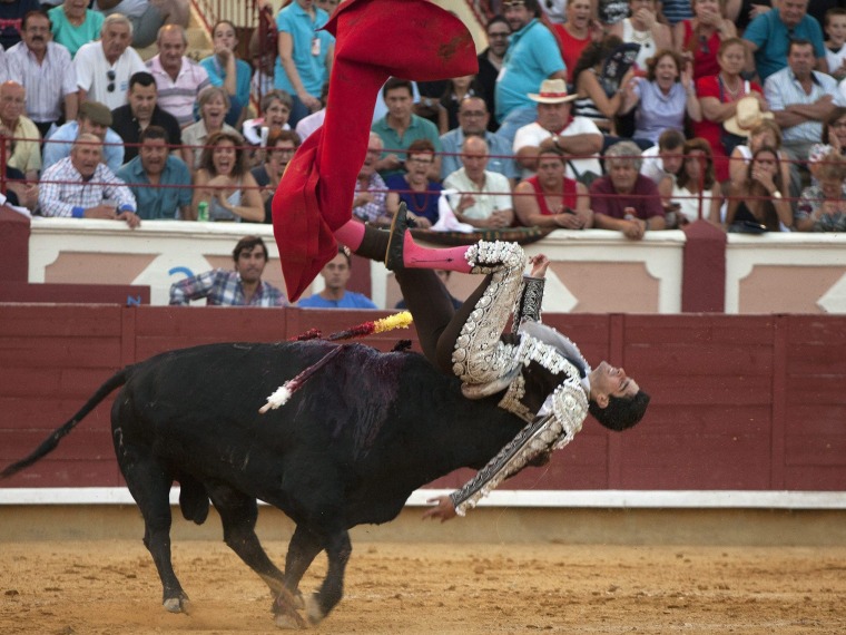 Image: San Julian Fair bullfighting