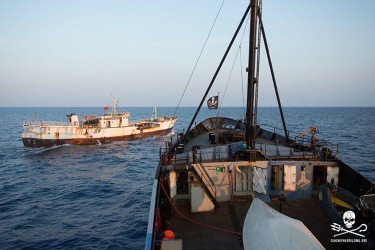 Image: The Sea Shepherd Conservation Society has had many clashes at sea with Japanese scientists.