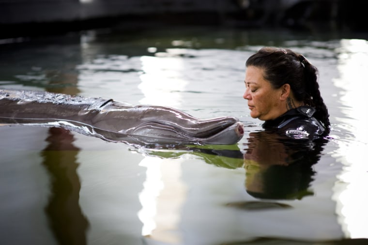 Kealoha Pisciotta attending and caring for a Blainville Beaked Whale, Kamaui, which stranded in Kihei, Maui, and died at the Hawai'i Cetacean Rehabilitation Facility (HCRF) in 2010.