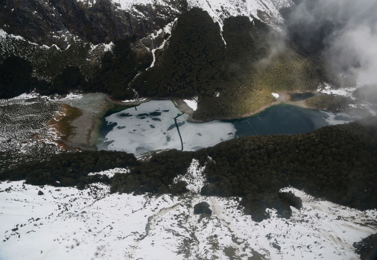 Image: New Zealand wilderness