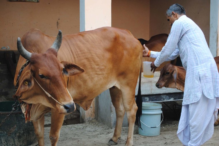 Image: Gyandendra Kumar, 45, hold cow urine