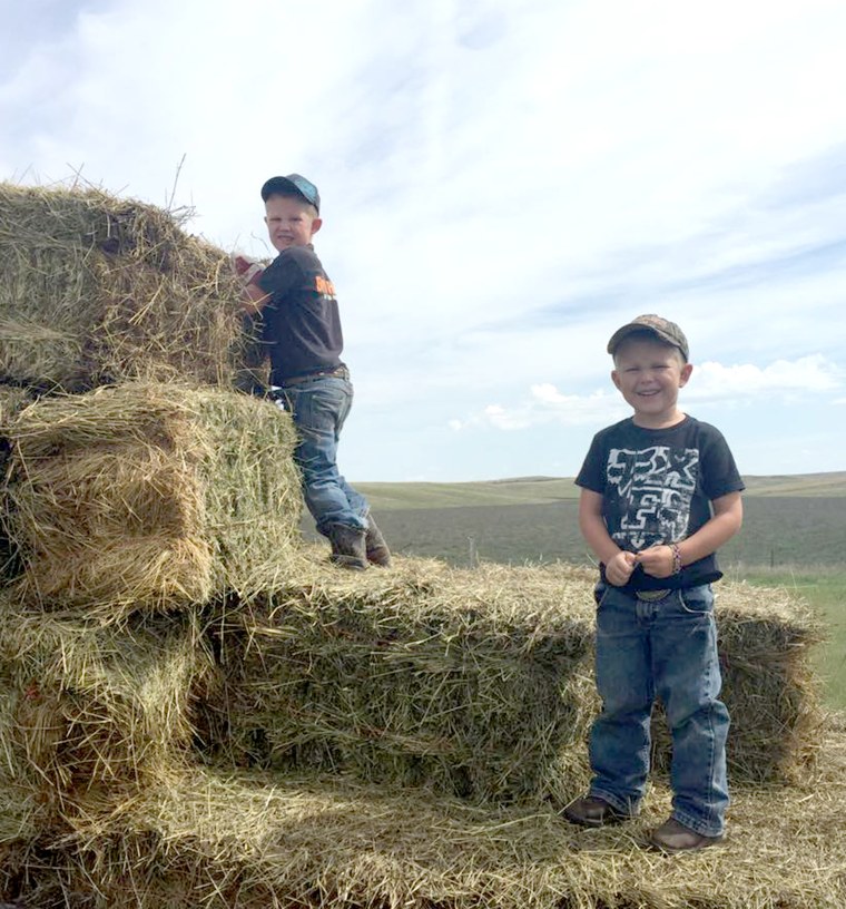 Tractor Field Cake – Creme Castle