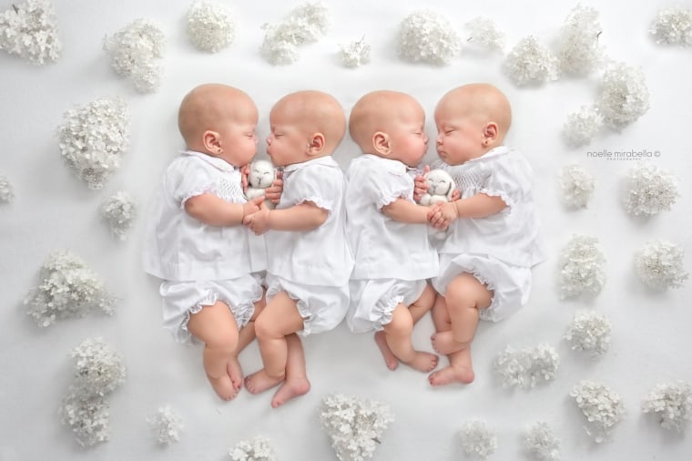 identical webb quadruplets