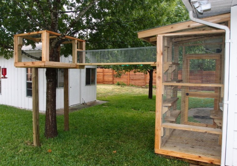 Catio treehouse