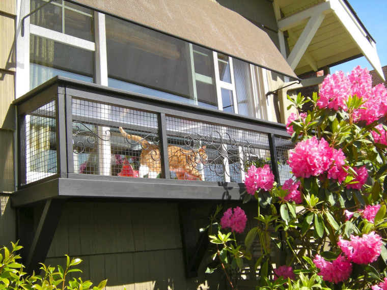 Window Box Catio