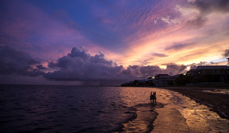 Image: ***BESTPIX*** Florida Gulf Coast Prepares For Tropical Storm Hermine