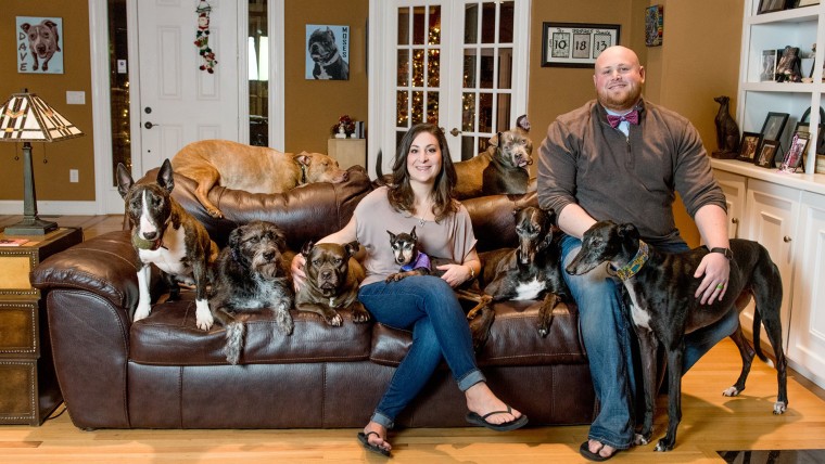 Couple who built a giant bed so they could sleep with their many dogs.