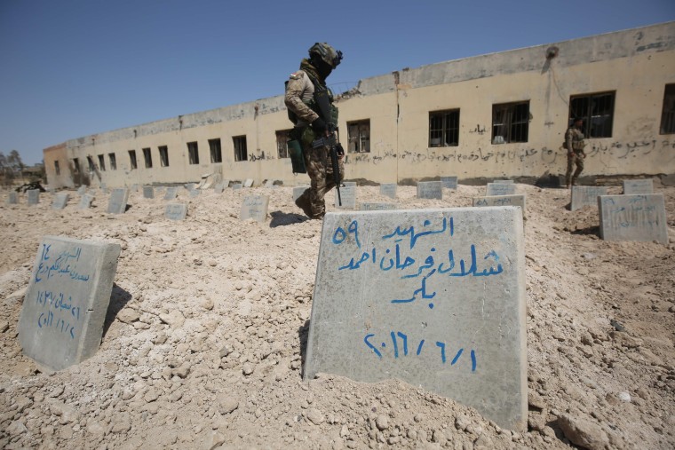 Image: Fallujah