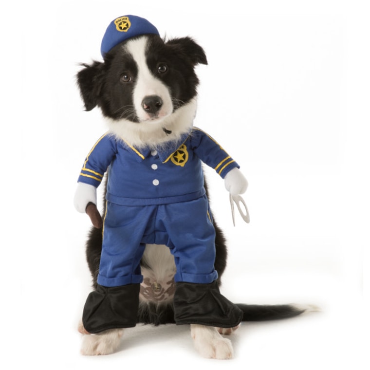 Policeman dog Halloween costume