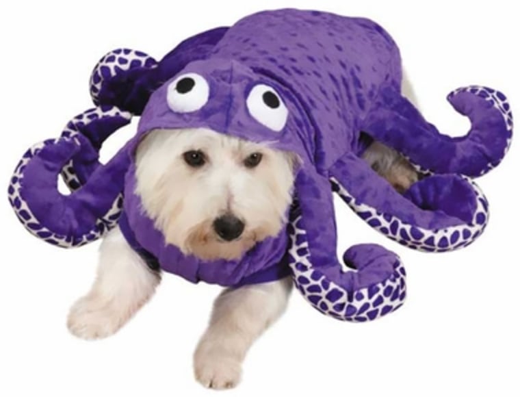 Octopus dog Halloween costume