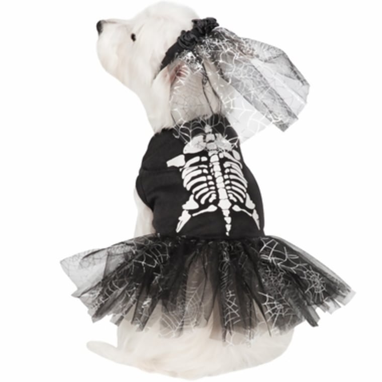 Skeleton dog Halloween costume
