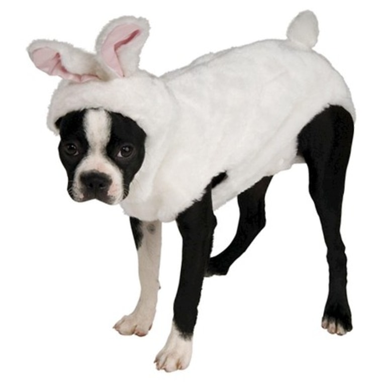 Bunny dog Halloween costume