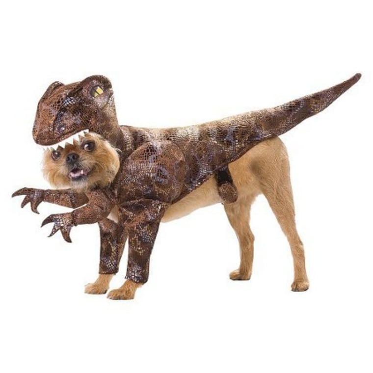 Dinosaur dog Halloween costume