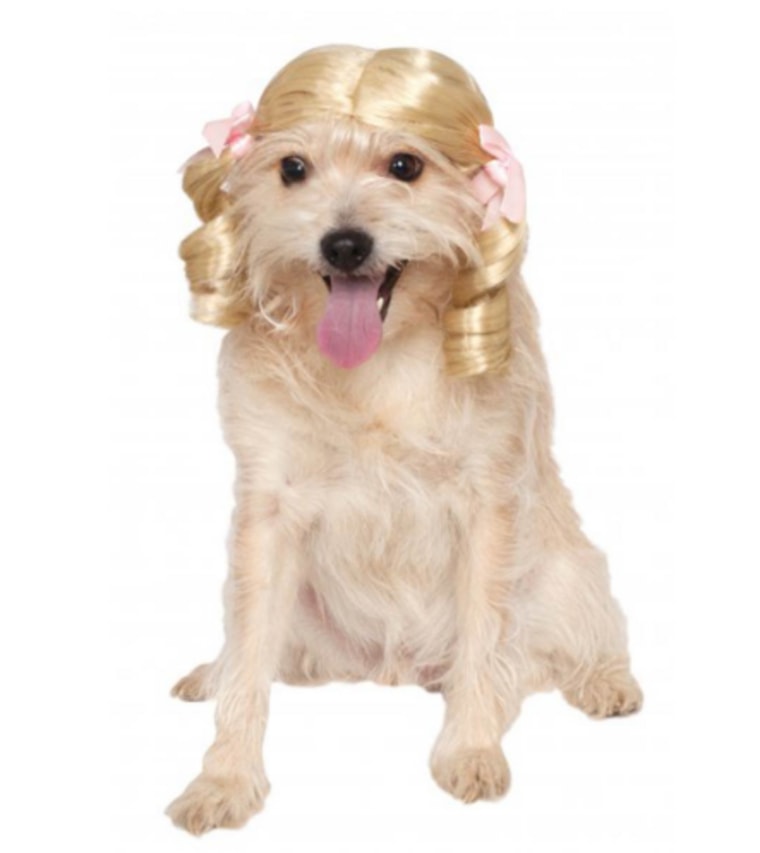 Blonde wig dog Halloween costume