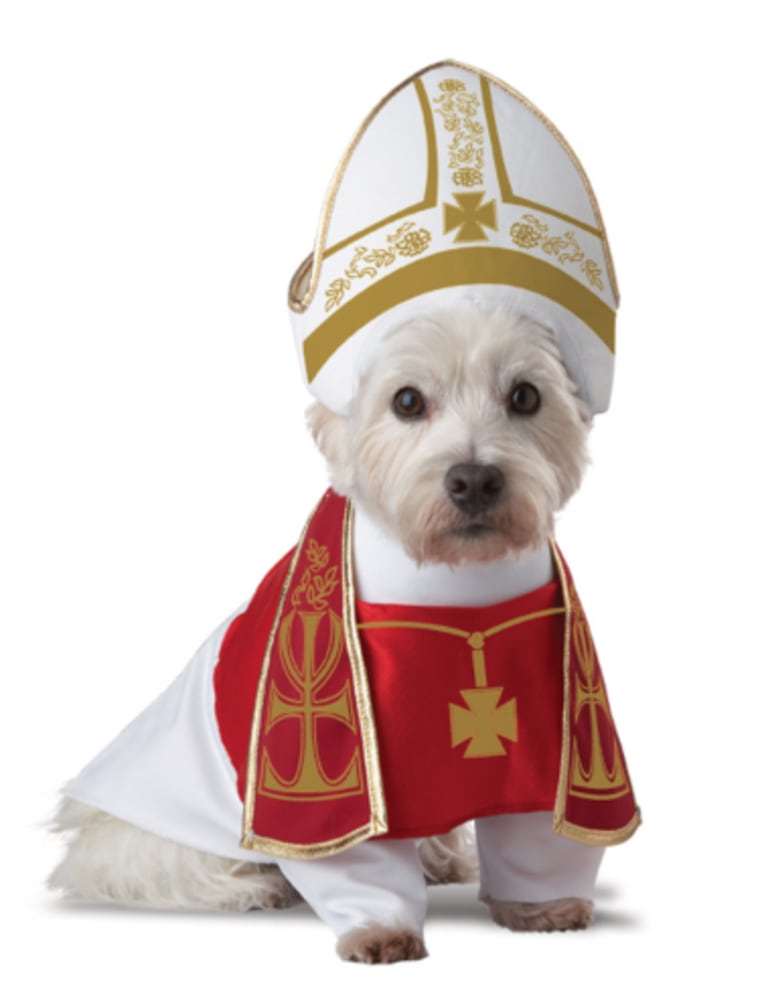 Pope dog Halloween costume
