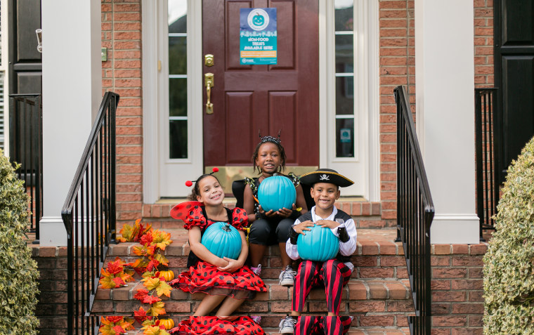 IMAGE: Teal Pumpkin Project