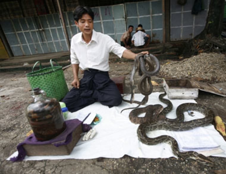 A man displays snakes while selling snake oil street-side in Yangon