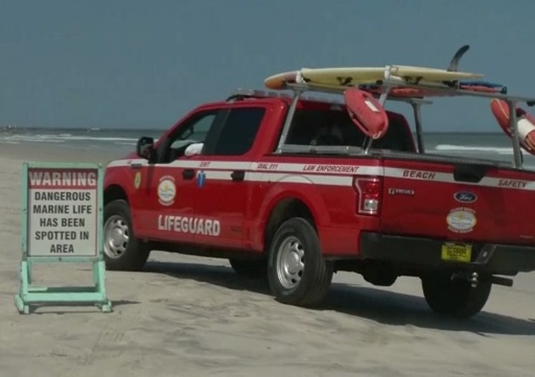 IMAGE: New Smyrna Beach, Fla.