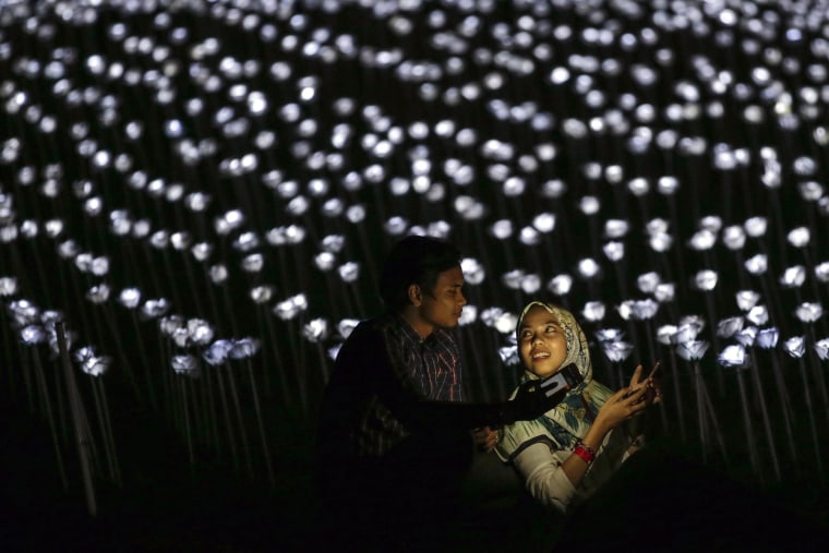 Image: 30 thousand LED white roses to promote Malaysia
