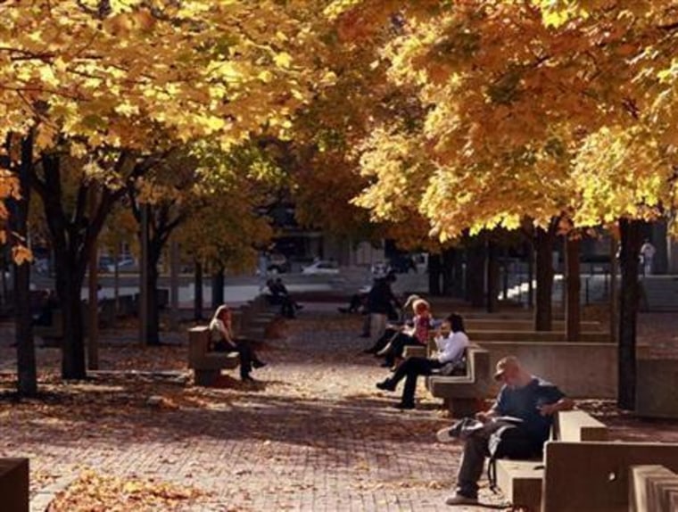People sit under a canopy of fall leaves during a warm afternoon in Boston