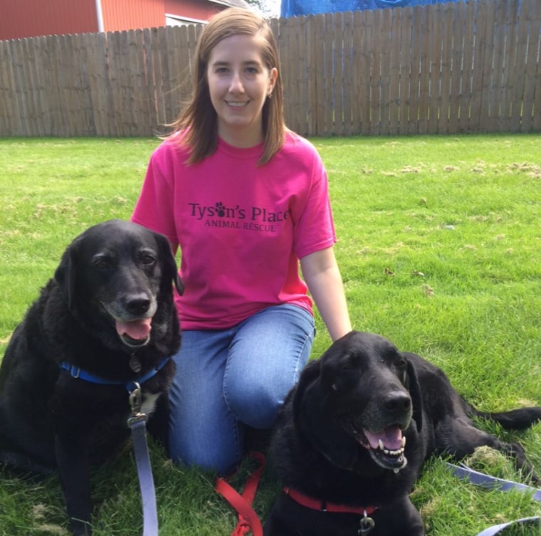 Jill Bannink-Albrecht, founder of Tyson's Place Animal Rescue in Michigan, is pictured with two senior black labs named Spike and Stella.