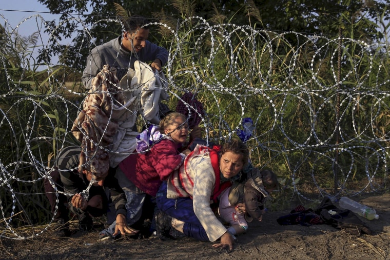 Image: Syrian migrants cross under a fence as they enter Hungary at the border with Serbia