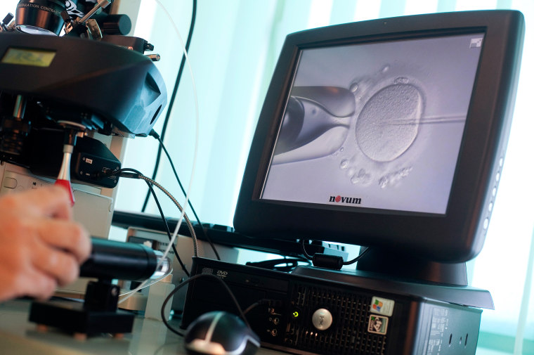 Image: A doctor injects sperm directly into an egg during an IVF procedure