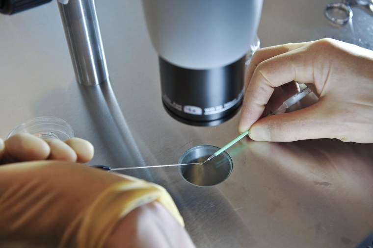 Image: Embryos are placed onto a CryoLeaf ready for instant freezing using a vitrification process for IVF