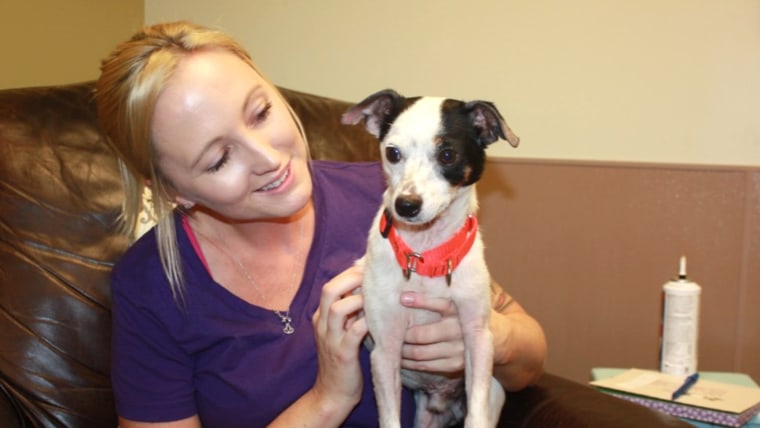 Toledo Area Humane Society unveils new 'real life' room