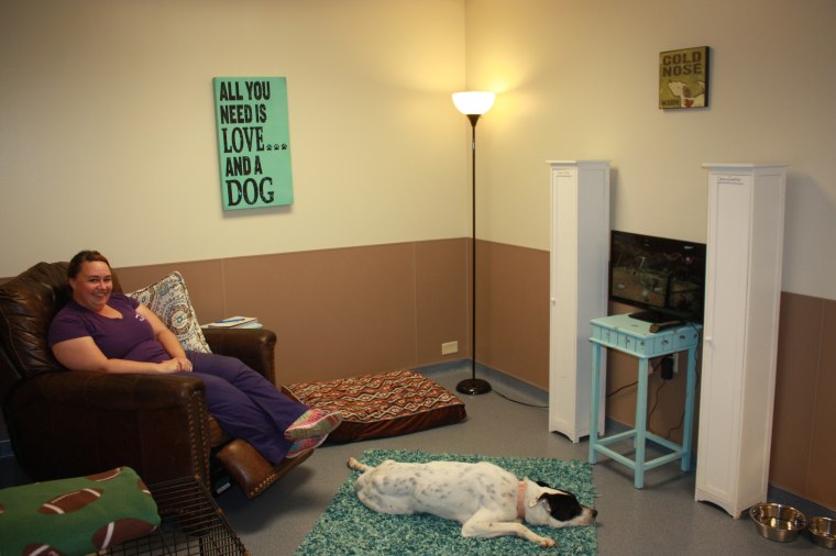 Animal shelter creates real-life room for dogs