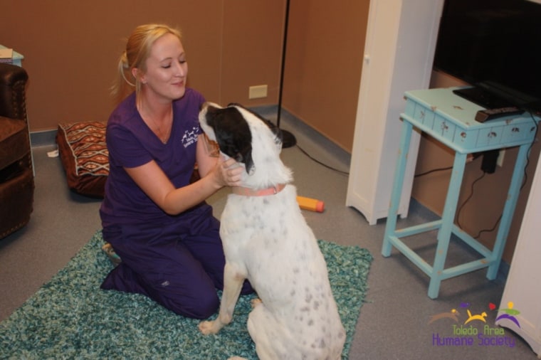 Toledo animal shelter has real-life room for animals