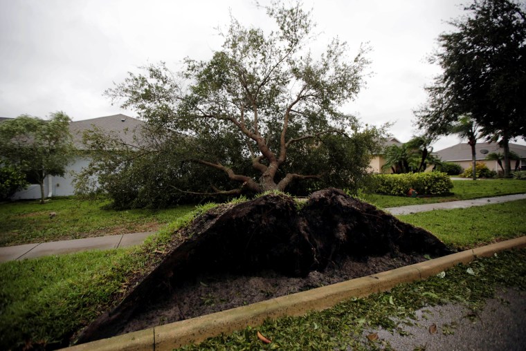 Image: A fallen tree is seen outside a house in the aftermath of Hurricane Matthew in Daytona Beach