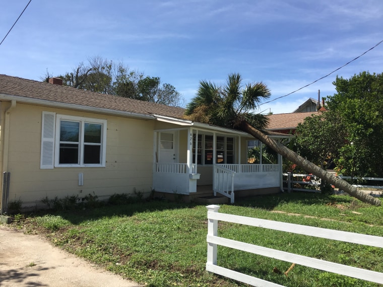 Palm tree on home