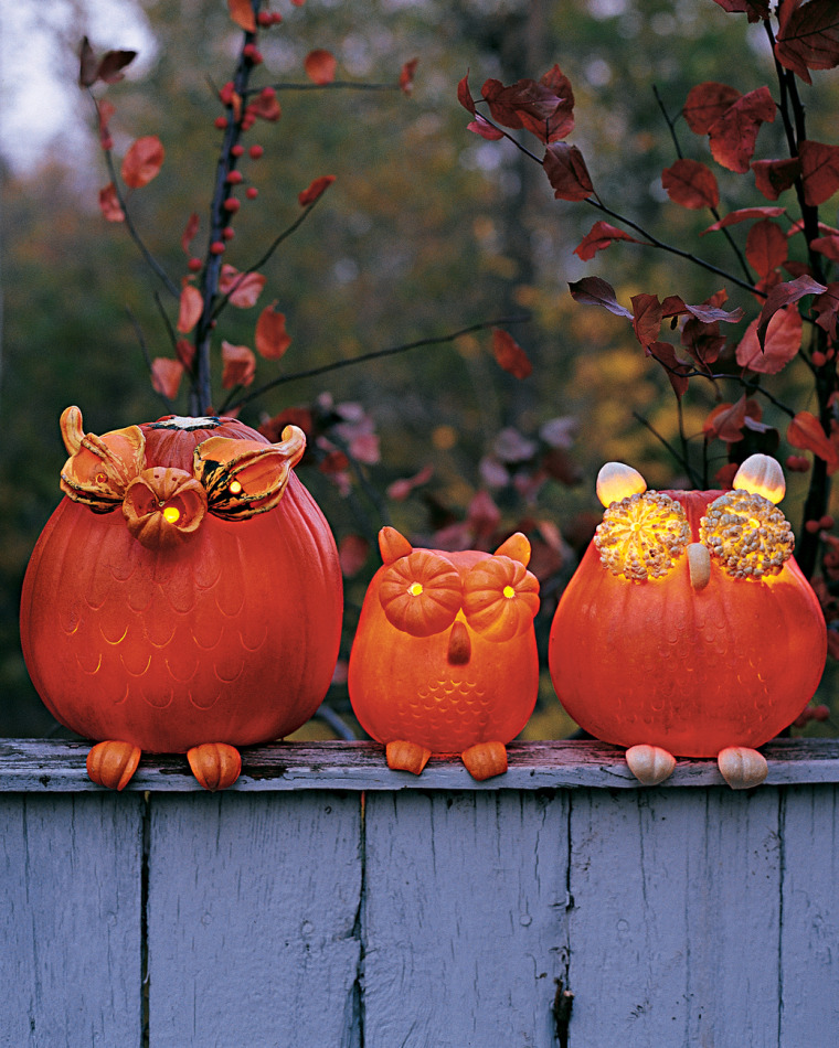 Pumpkin owls