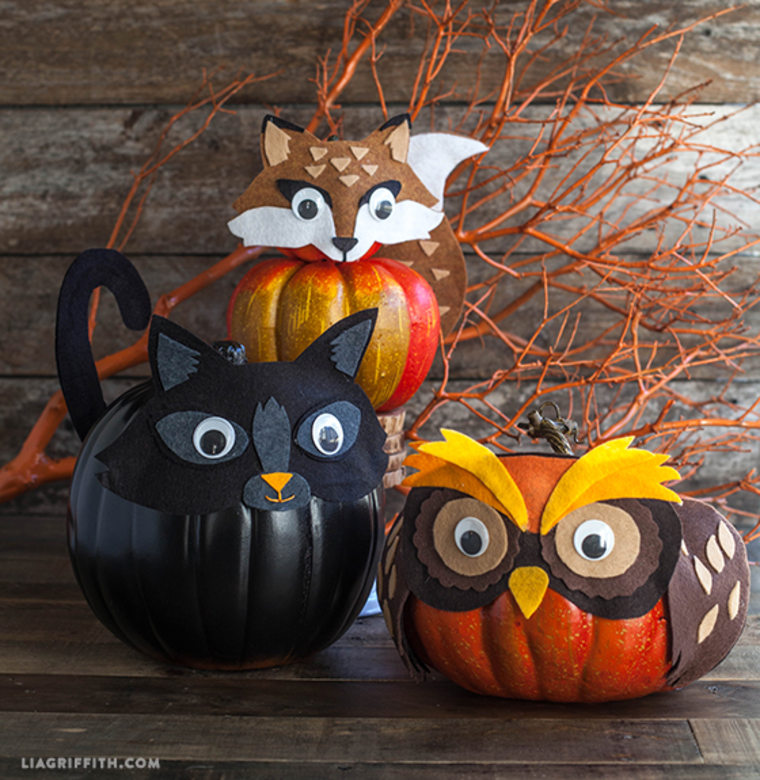 Animal pumpkins