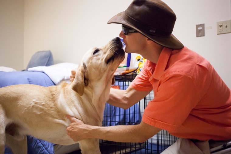 TODAY's first puppy with a purpose, Wrangler, graduates to become a full-time guide dog