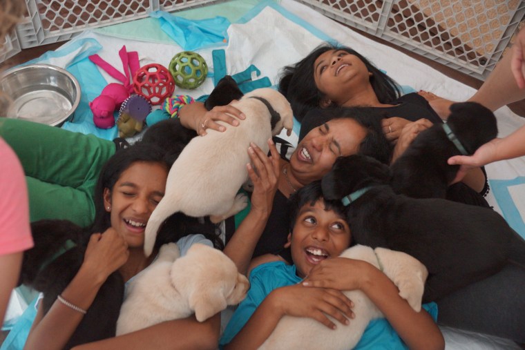pile of puppies arranges for chronically ill children to be visited by a litter of puppies.