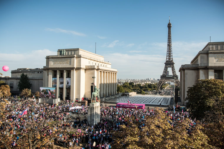 Image: French anti gay marriage protest in Paris