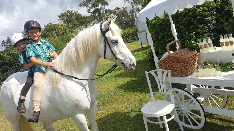 Sabastian Lucas, worked a lemonade stand for two years and saved $3000 to buy a pony