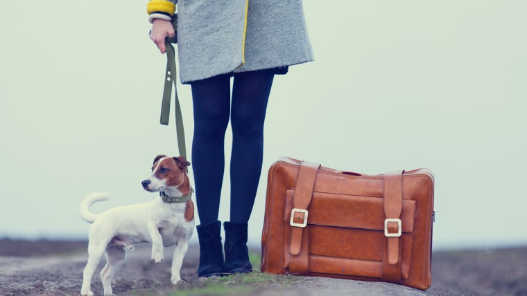 Woman with suitcase and dog