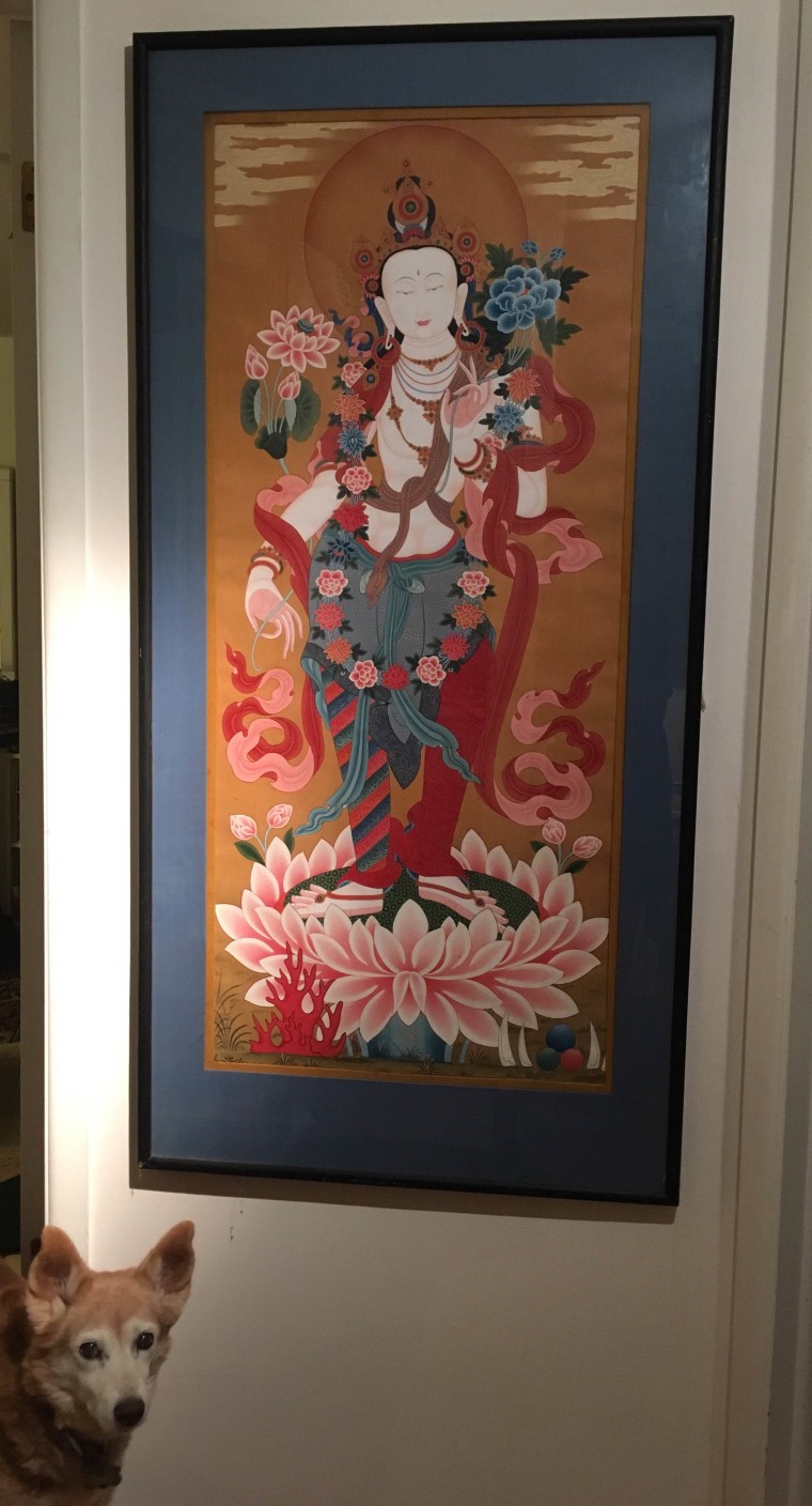 New art being hung in Frances Wang's house accompanied by her dog Chocoli.