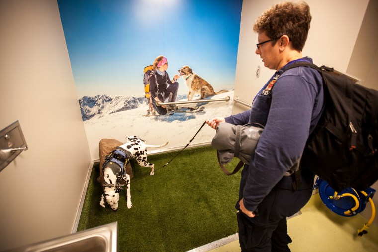 At Denver International Airport, post-security pet potties have murals featuring dogs at play.