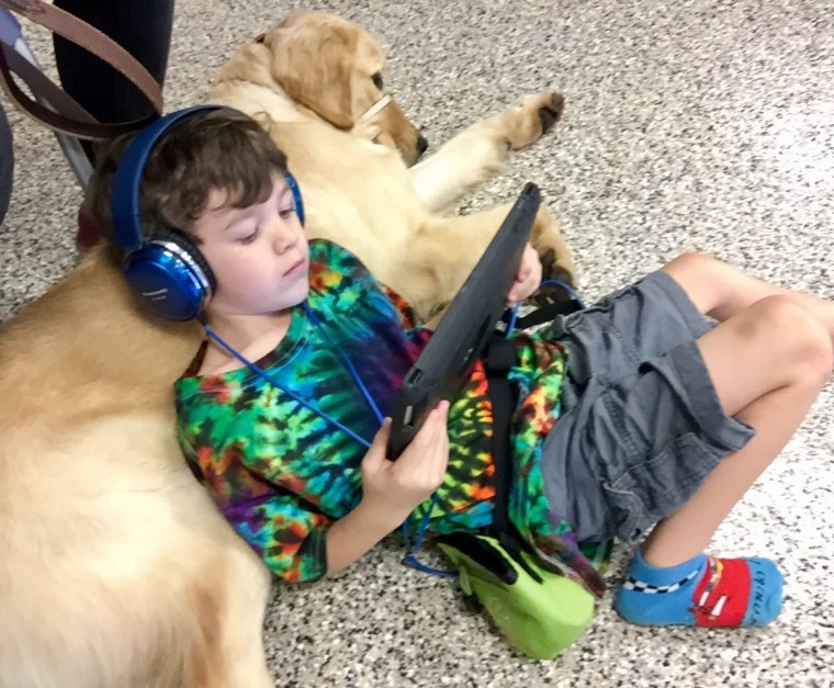 Amazing moment when boy meets his service dog