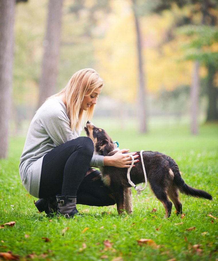 It's important to reward your dog during these exercises.