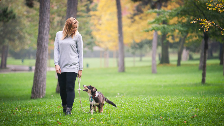 5 easy ways to exercise with your pet