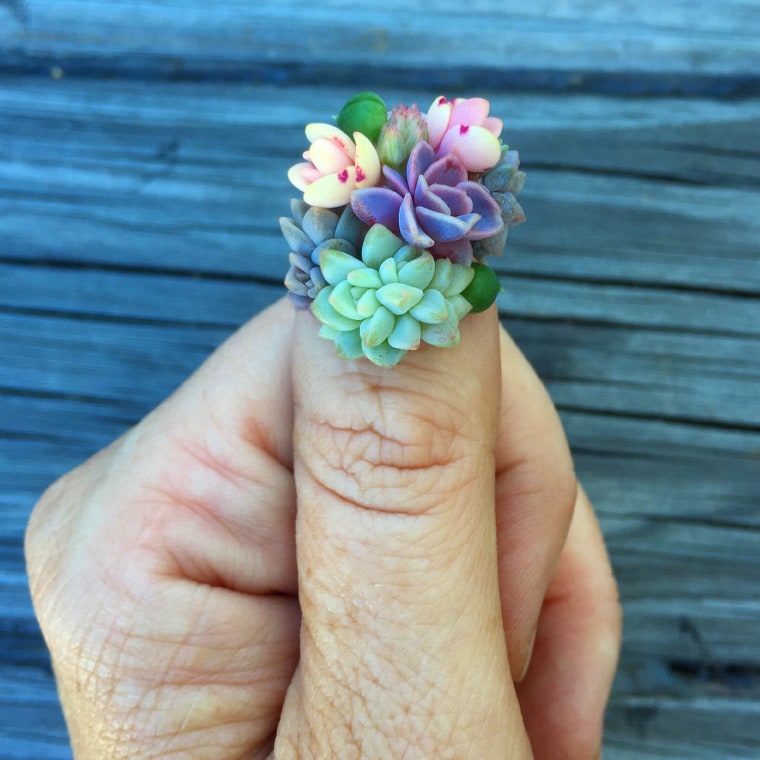 Succulent nails