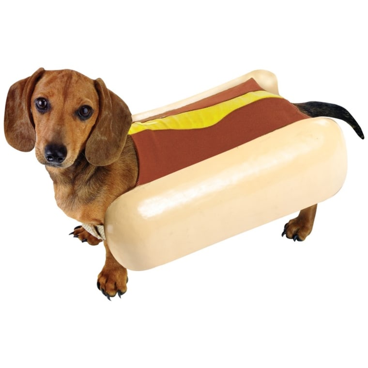 Hot Dog Costume for a Dog
