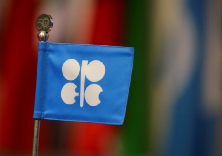 A OPEC flag is seen during the presentation of OPEC's 2013 World Oil Outlook in Vienna