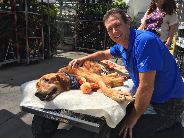 Maverick the dog makes a friend at Lowes